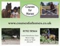 Courses for Horses image 2