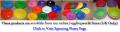 Jugglingworld Online Store / Steve the Juggler image 6