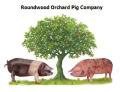 Roundwood Orchard Pig Company image 7