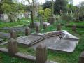 Nunhead Cemetery image 1