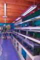 Aquatic Fanatic Pet Store image 3