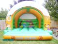 Bouncy Castles image 5
