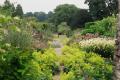 Trull House Gardens image 3