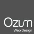 Ozum Ltd logo