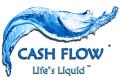 CashFlow image 1