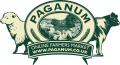 Paganum Produce Ltd image 5