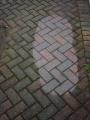 Pro-Clean Driveways, Pressure Cleaning, Christchurch,Bournemouth,Poole,Dorset+Hampshire,Block Paving+Patio cleaning and Sealing Service image 10