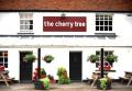 The Cherry Tree logo