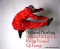 Natural healing School of Tai Chi, Kung fu & Qi Gong logo