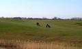 Stonelees Golf Centre image 3