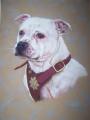 Pet Portraits. John Graham Art. image 4