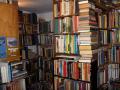 The Dormouse Bookshop image 3