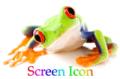 Screen Icon Ltd image 1