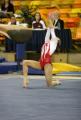 The Gymnastics Academy image 2