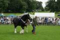 Thornton le Dale Show image 5