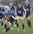 Treharris Mini and Junior RFC inc. Senior & Youth image 4