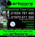 Arbcore logo