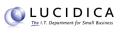 lucidica logo