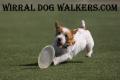 Wirral dog walkers logo