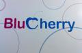 Blu Cherry logo