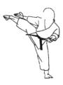 Kihonkai Karate Academy logo