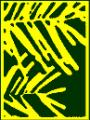 TM Forestry Ltd logo