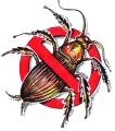 Catch-It Pest Control logo