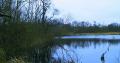 Discover the Norfolk Broads image 4