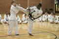 Harrow and Pinner Taekwondo image 1