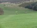 Galashiels Golf Club image 3