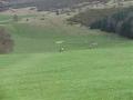 Galashiels Golf Club image 3