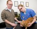 Cat's Whiskers Veterinary Clinic LLP (Worthing) image 9