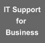 IT in Business limited logo