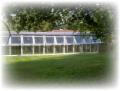 Heath Farm Cattery image 2