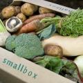 Riverford Organic Vegetables image 3