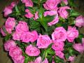 Pick a Lily Florists image 8