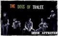 IRISH MUSIC BAND 'Alan Kelly & The Dogs of Tralee' logo