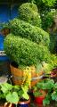 Allgardendesigns image 7