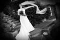 Anna Bravington - Wedding Photographers image 5