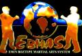 Bangor martial arts logo