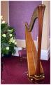 Marie-France Riboulet Harpist image 6