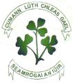 Newry Shamrocks (Pairc Esler) logo