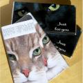 The Amber Cat Web Design image 3
