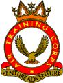2308 (Cwmbran) Squadron Air Training Corps logo