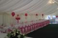 Special Occasions - Balloon Decorating and Chair Cover Hire image 9