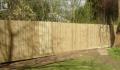 GWF Services  ~Gardens,Walls, & Fencing Services~ image 6