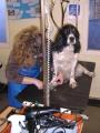 Muddy Buddys Mobile Dog Grooming image 3