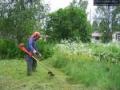 Gardening and cleaning services image 1