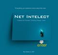 Net Intelect logo