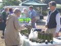 Penshurst Farmers' Market image 2